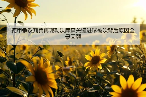 德甲争议判罚再现勒沃库森关键进球被吹背后原因全景回顾