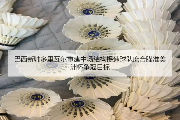 巴西新帅多里瓦尔重建中场结构提速球队磨合瞄准美洲杯争冠目标