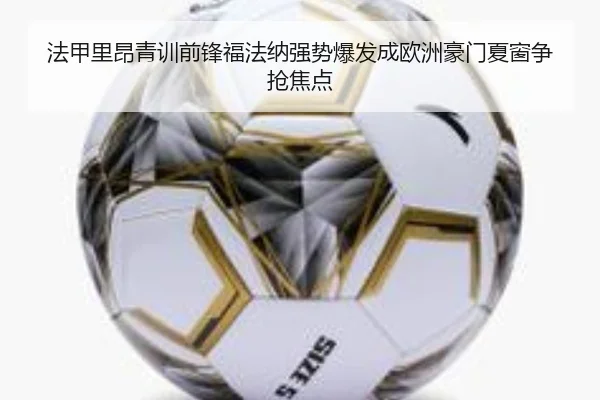 法甲里昂青训前锋福法纳强势爆发成欧洲豪门夏窗争抢焦点